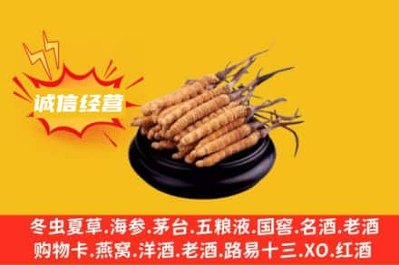 本溪市南芬回收冬虫夏草